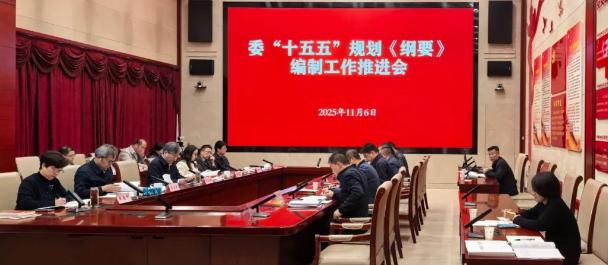 市發(fā)展改革委召開“十五五”規(guī)劃《綱要》編制工作推進(jìn)會